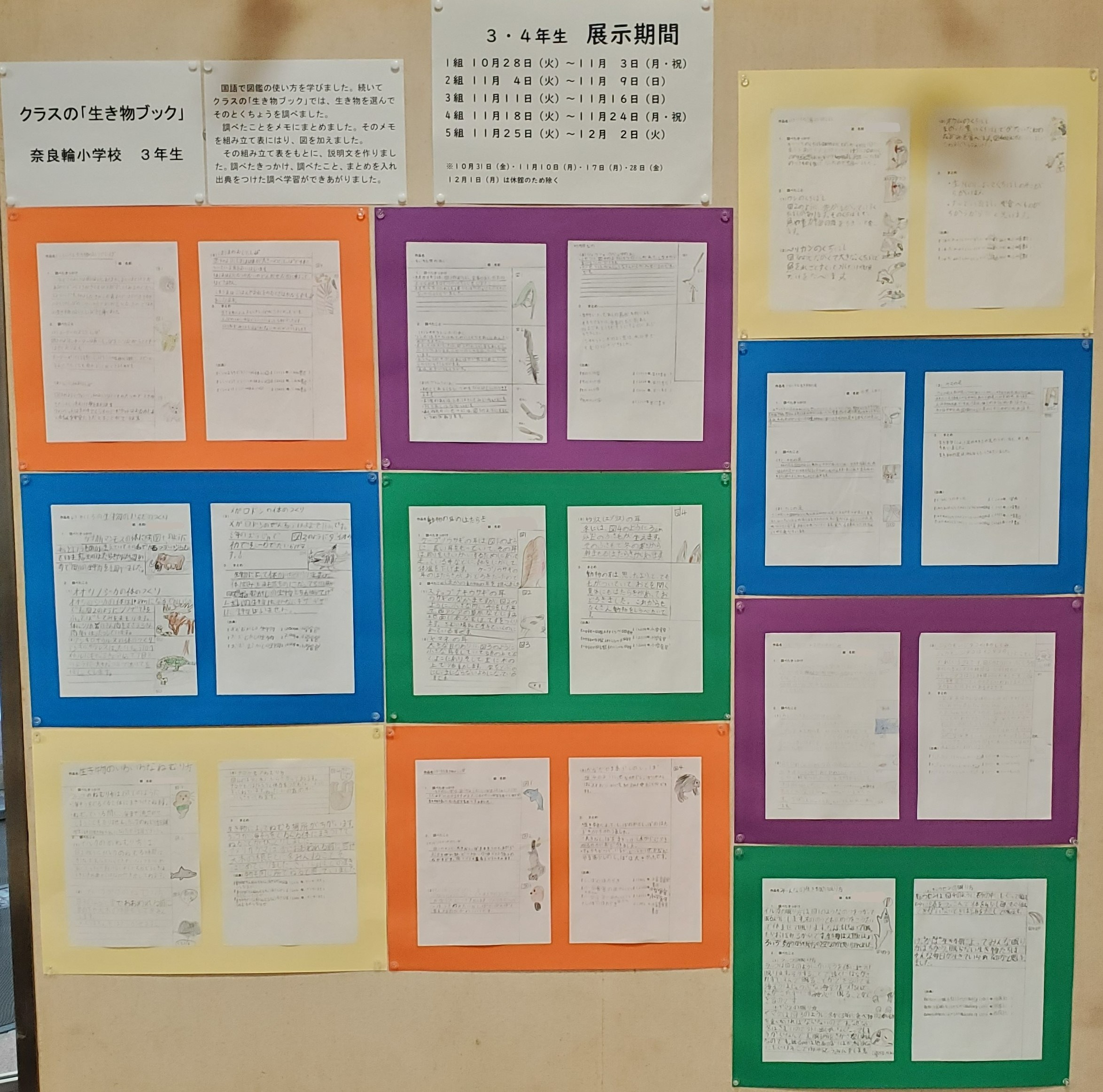 奈良輪小3年生「生き物ブック」展示