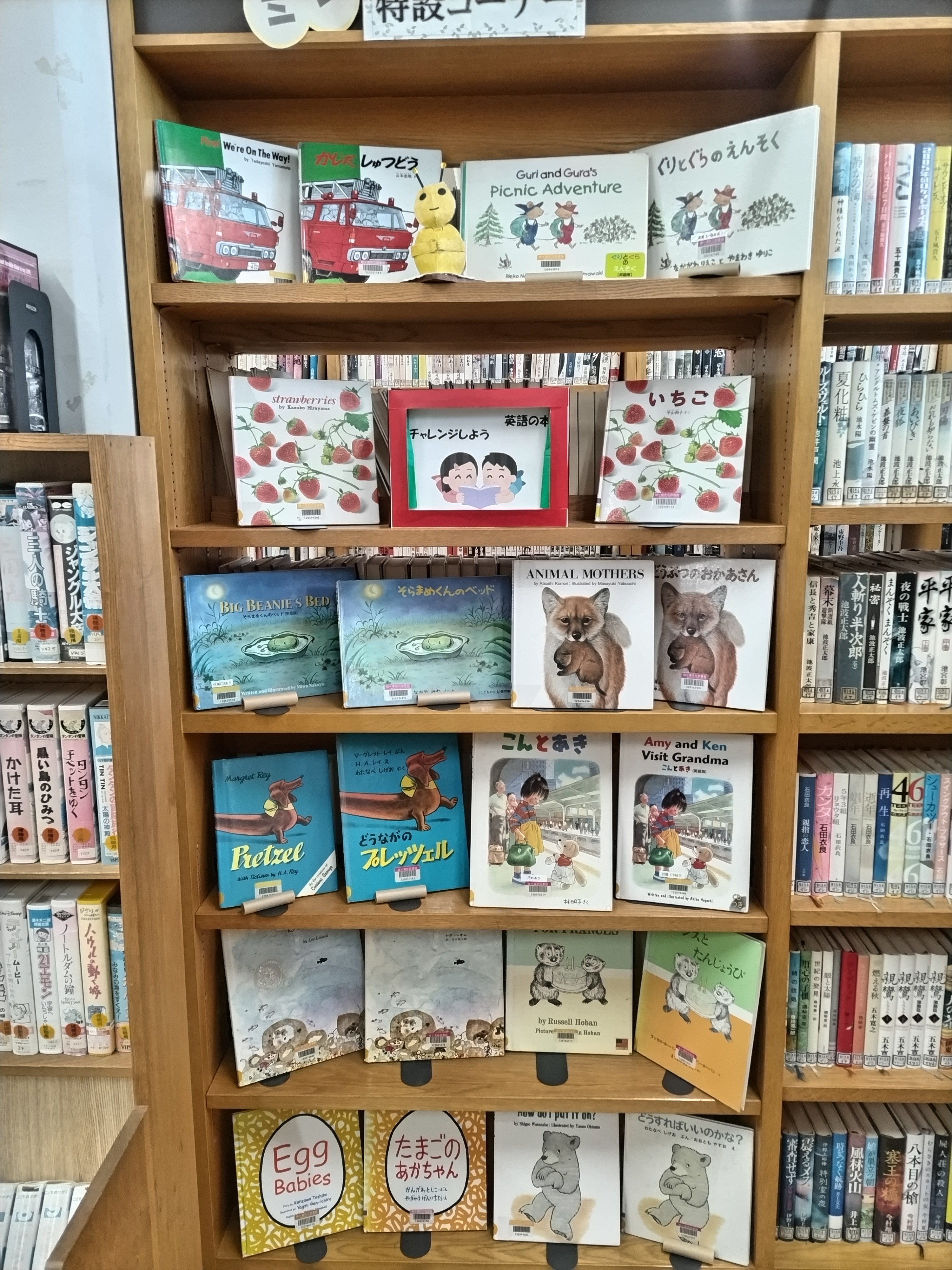 平岡ミニ特設コーナーR8年3月の様子